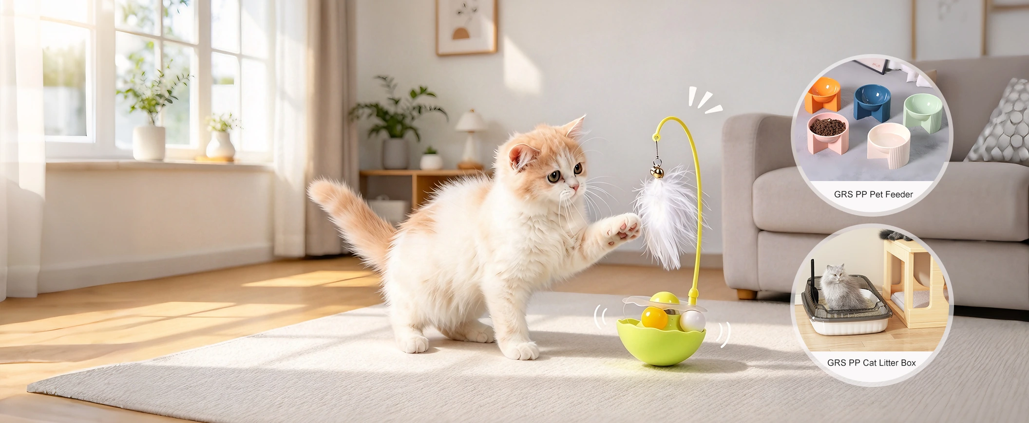 Fournisseur de jouets et d'accessoires pour animaux de compagnie de qualité en Chine