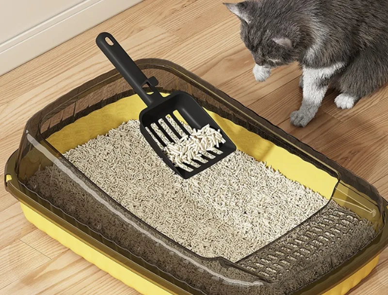 Le bac à litière pour chat GRS PP peut-il résoudre les plus grandes frustrations des propriétaires de chats ?
